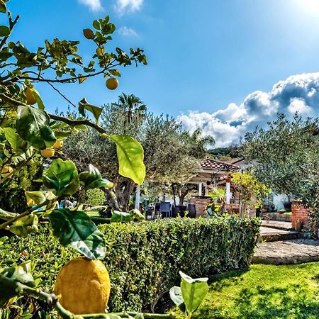 B&B Villa Bency Capo d'Orlando Exterior photo