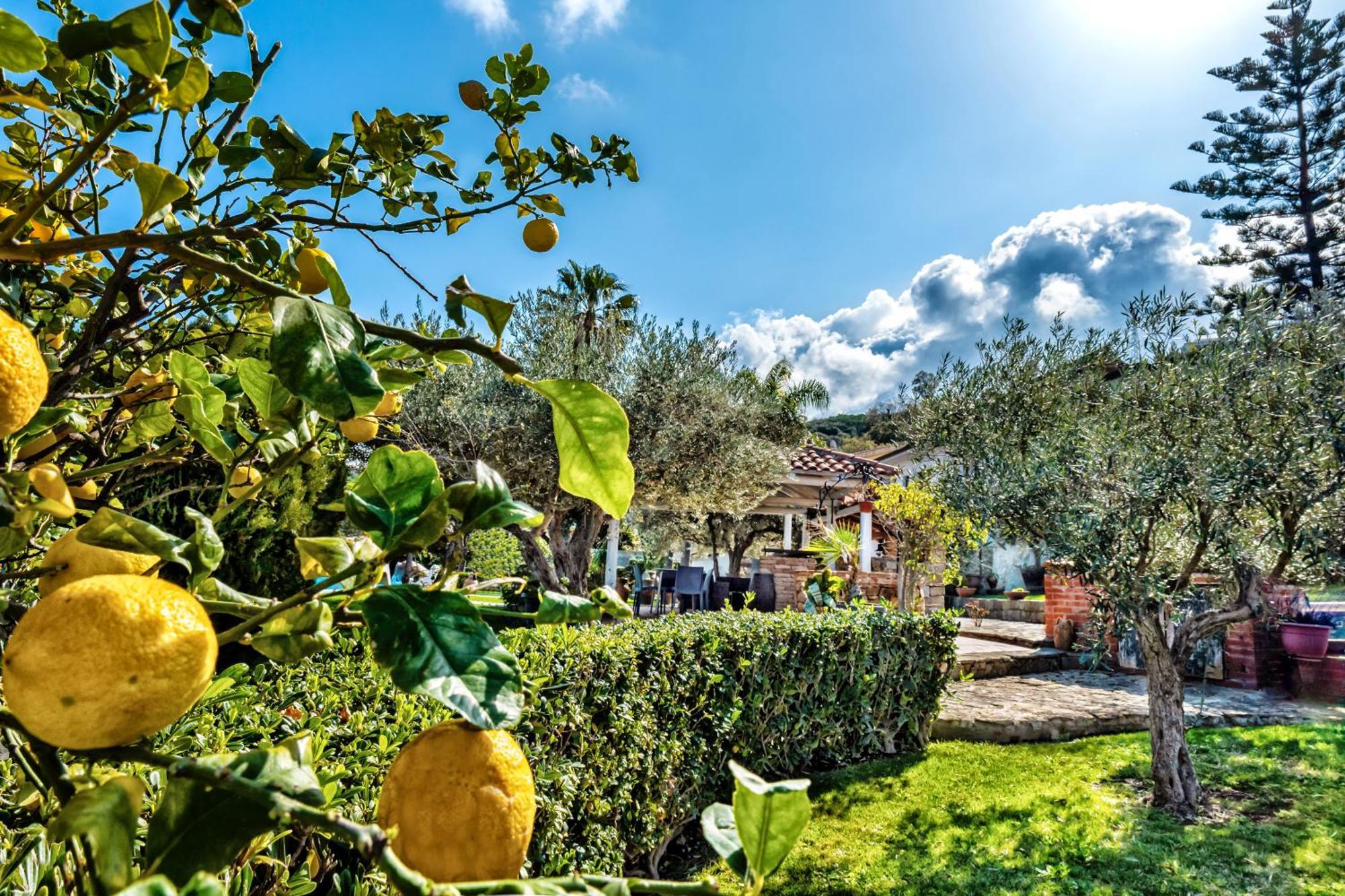 B&B Villa Bency Capo d'Orlando Exterior photo